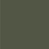 kiwi green 100x100 1